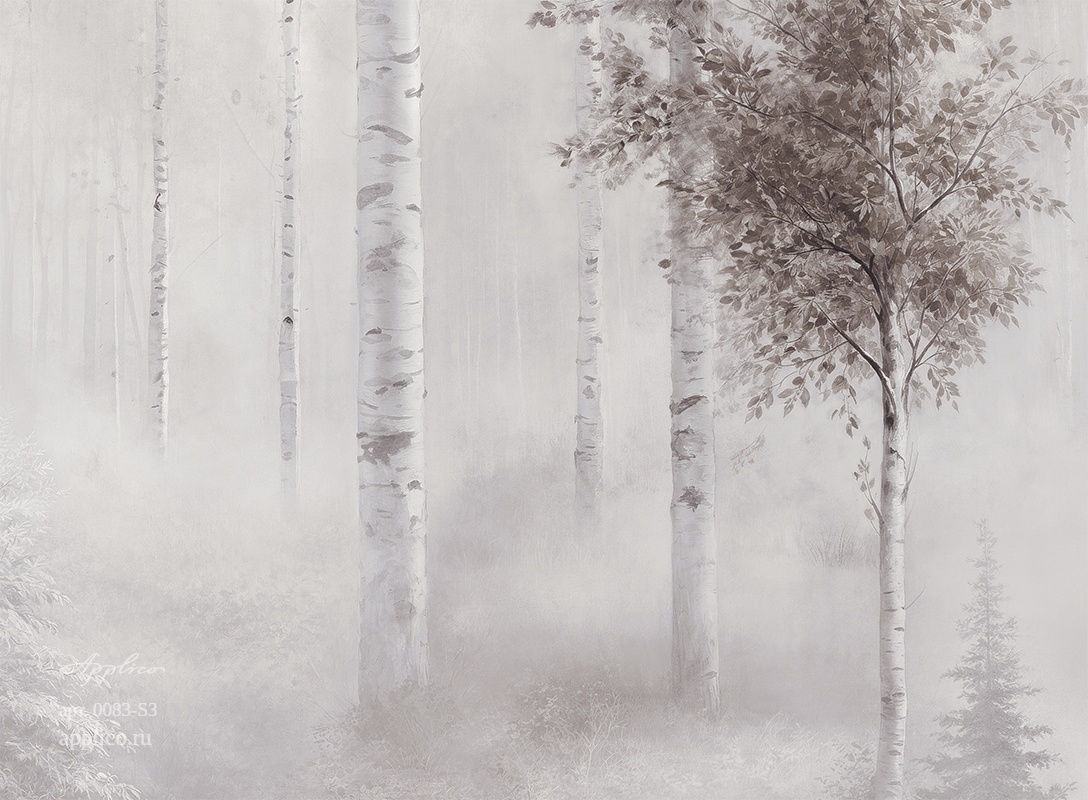 дизайнерские обои Берёзовый свет