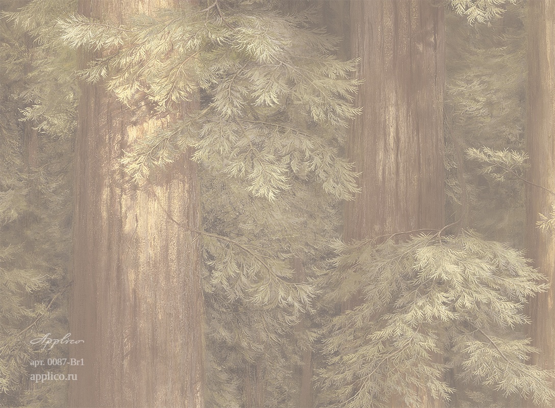дизайнерские обои Секвойи