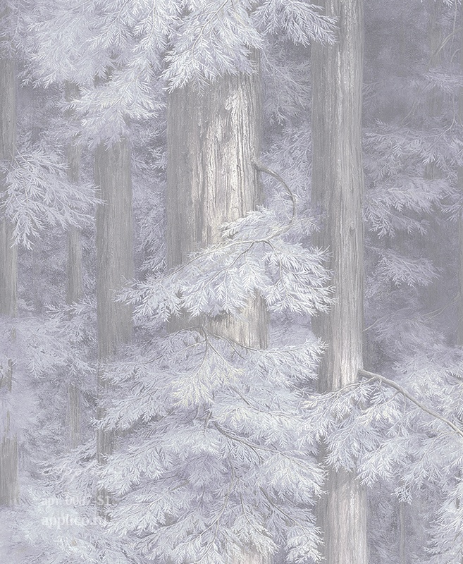 дизайнерские обои Секвойи в интерьере