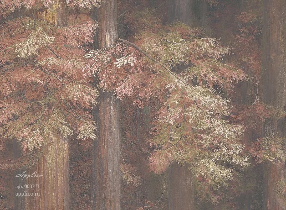 дизайнерские обои Секвойи