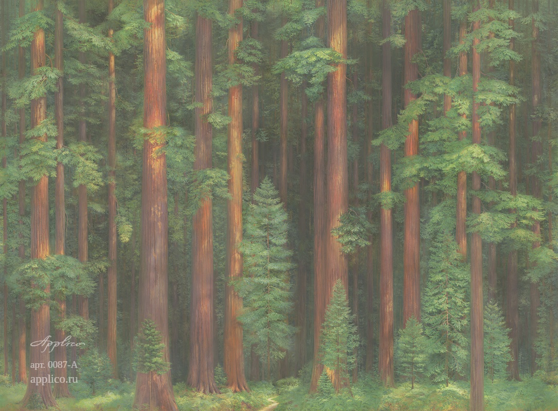 дизайнерские обои Секвойи в интерьере