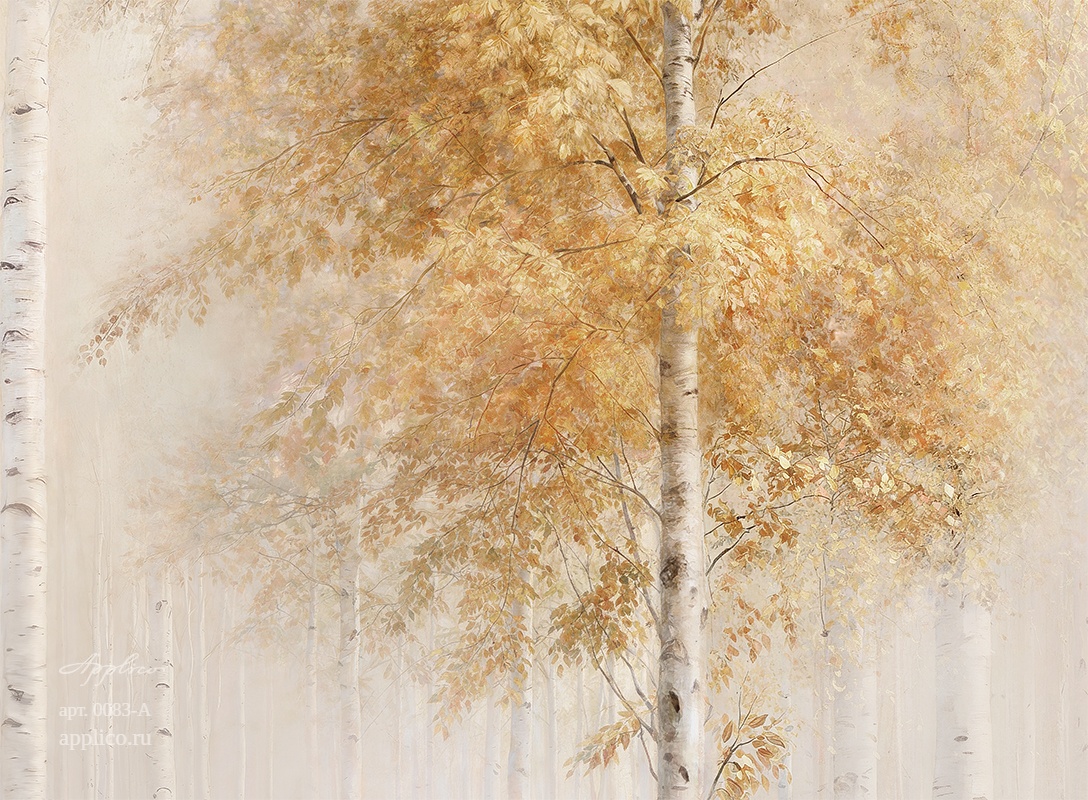 дизайнерские обои Берёзовый свет