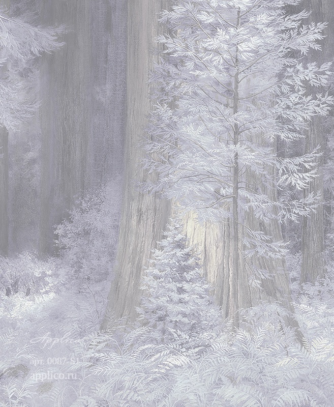 обои и панно Секвойи в интерьере