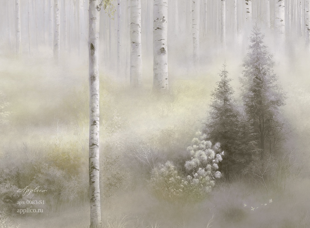 дизайнерские обои Берёзовый свет