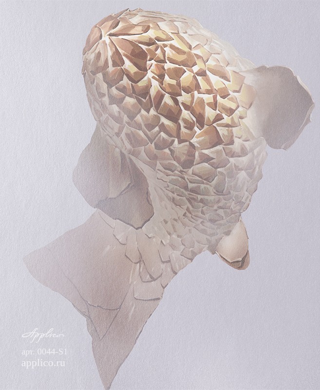 обои и панно Рыбки в интерьере