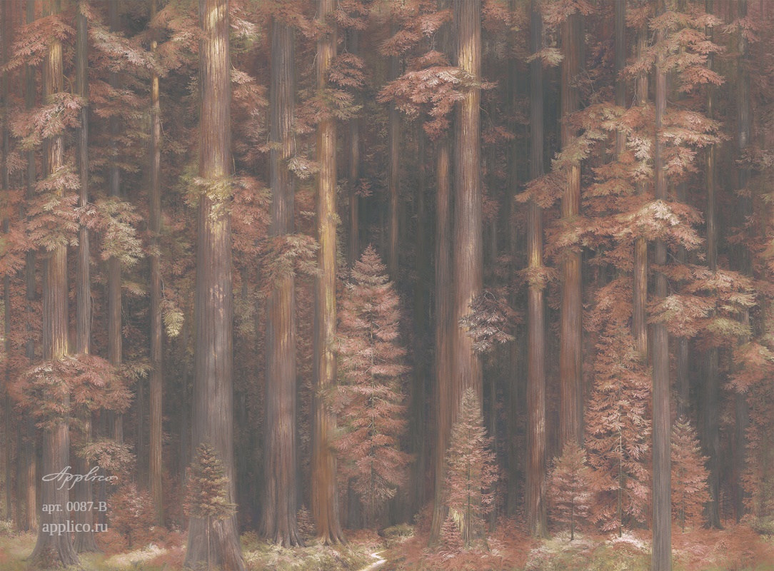 дизайнерские обои Секвойи в интерьере