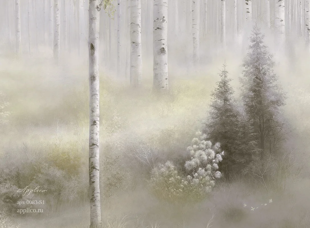 дизайнерские обои Берёзовый свет