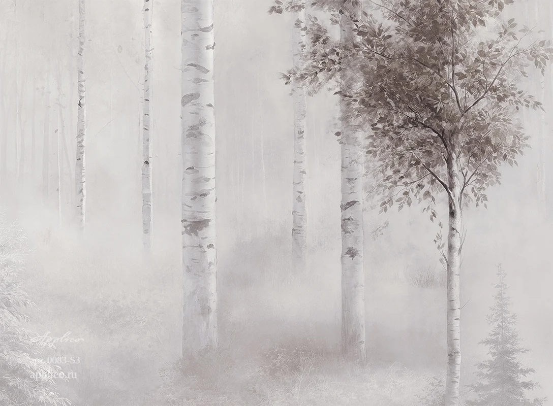 дизайнерские обои Берёзовый свет