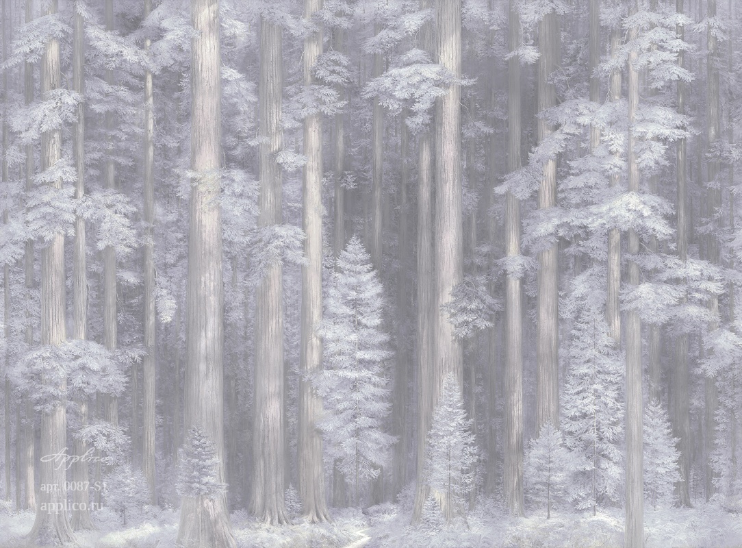 дизайнерские обои Секвойи в интерьере