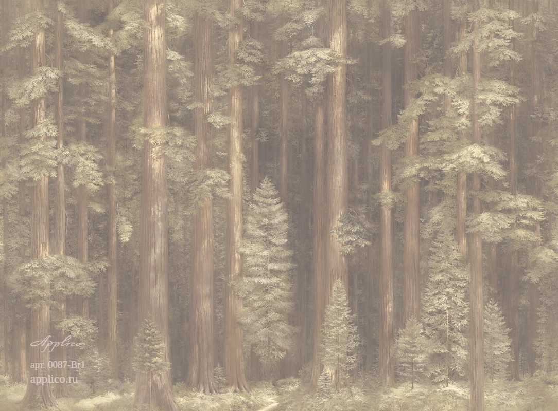 дизайнерские обои Секвойи в интерьере