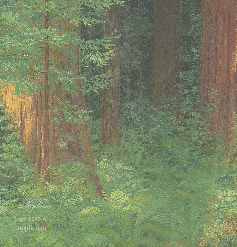 дизайнерские обои Секвойи в интерьере